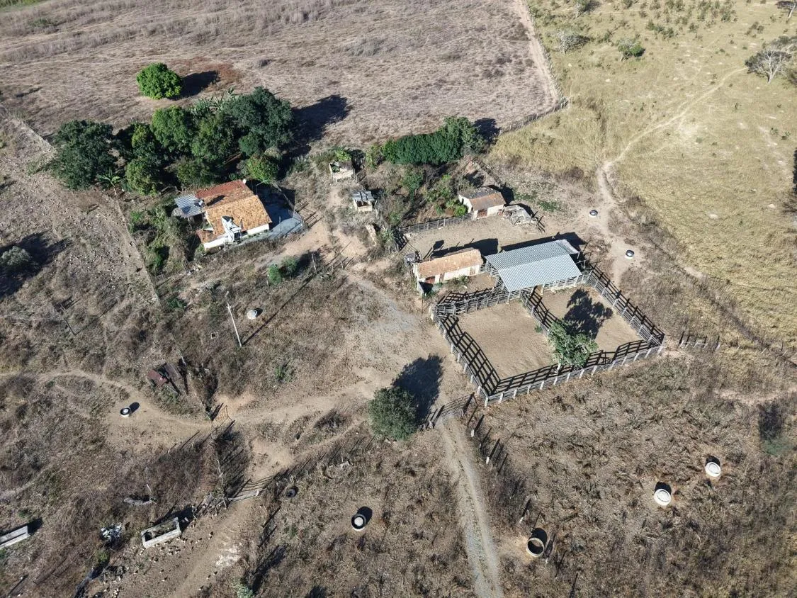 Imagem Fazenda à Venda em Papagaios/MG ? 150 Hectares