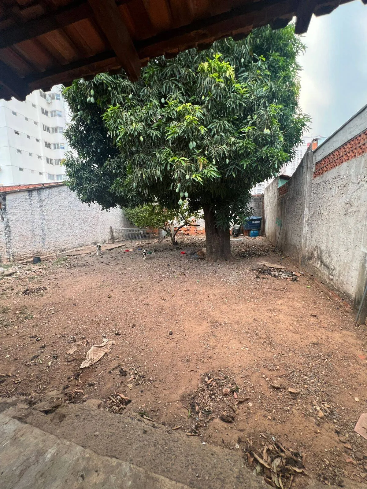 Imagem Casa Goiabeiras - 3 Quartos, Suíte e Amplo Quintal