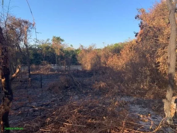 Imagem CHACARA DE 1000 M², EM JUATUBA!