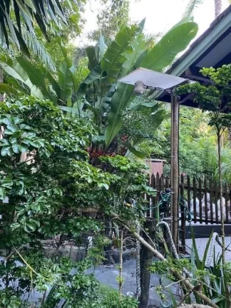 Imagem Casa dos Sonhos