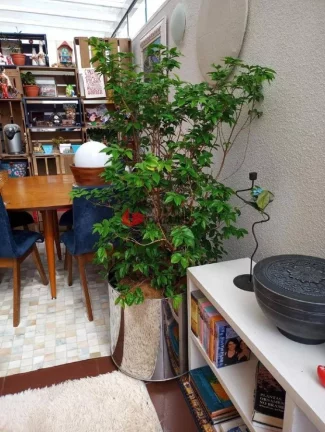 Imagem Apartamento à venda 3 Quartos, 1 Suite, 2 Vagas, 160M², Cerâmica, São Caetano do Sul - SP