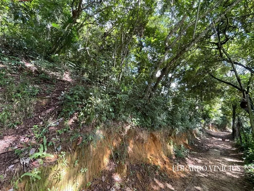 Imagem Jardim Botânico - Terreno com 1.874m² À Venda no Jardim Botânico em Morro de São Paulo