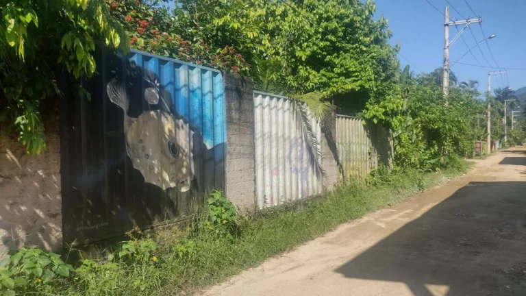 Imagem LOTE DE TERRENO PRAIA ITAMAMBUCA - UBATUBA