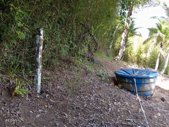 Imagem CASA - PRAIA LAGOINHA - UBATUBA