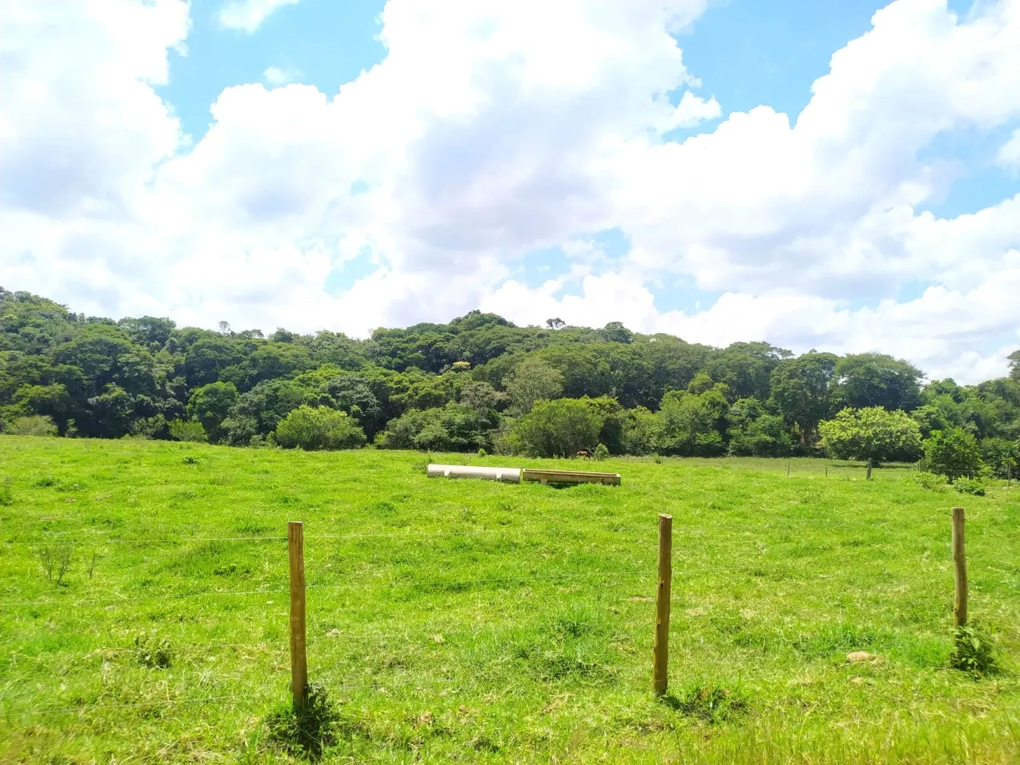 Imagem Chácara à venda 2 Quartos, 411400M², Zona Rural, Cunha - SP