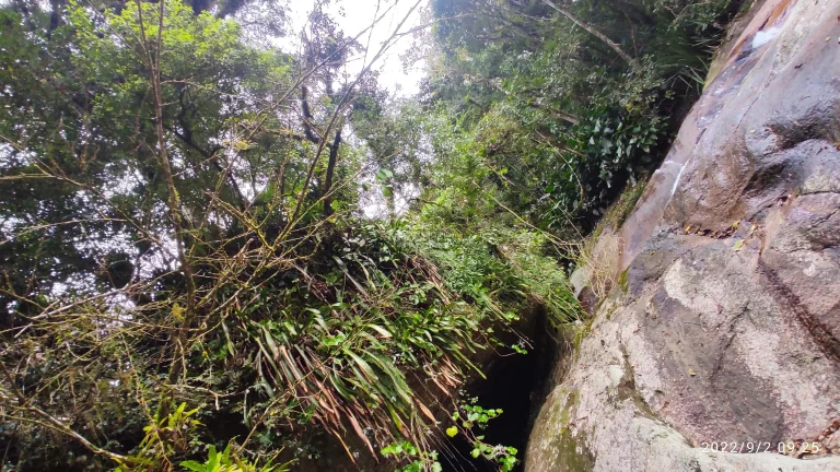 Imagem Sítio a VENDA, com várias lindas cachoeiras, a 4Km da SC 108, de fácil acesso. Lugar Maravilhoso em meio a natureza! Propriedade ótima para investime