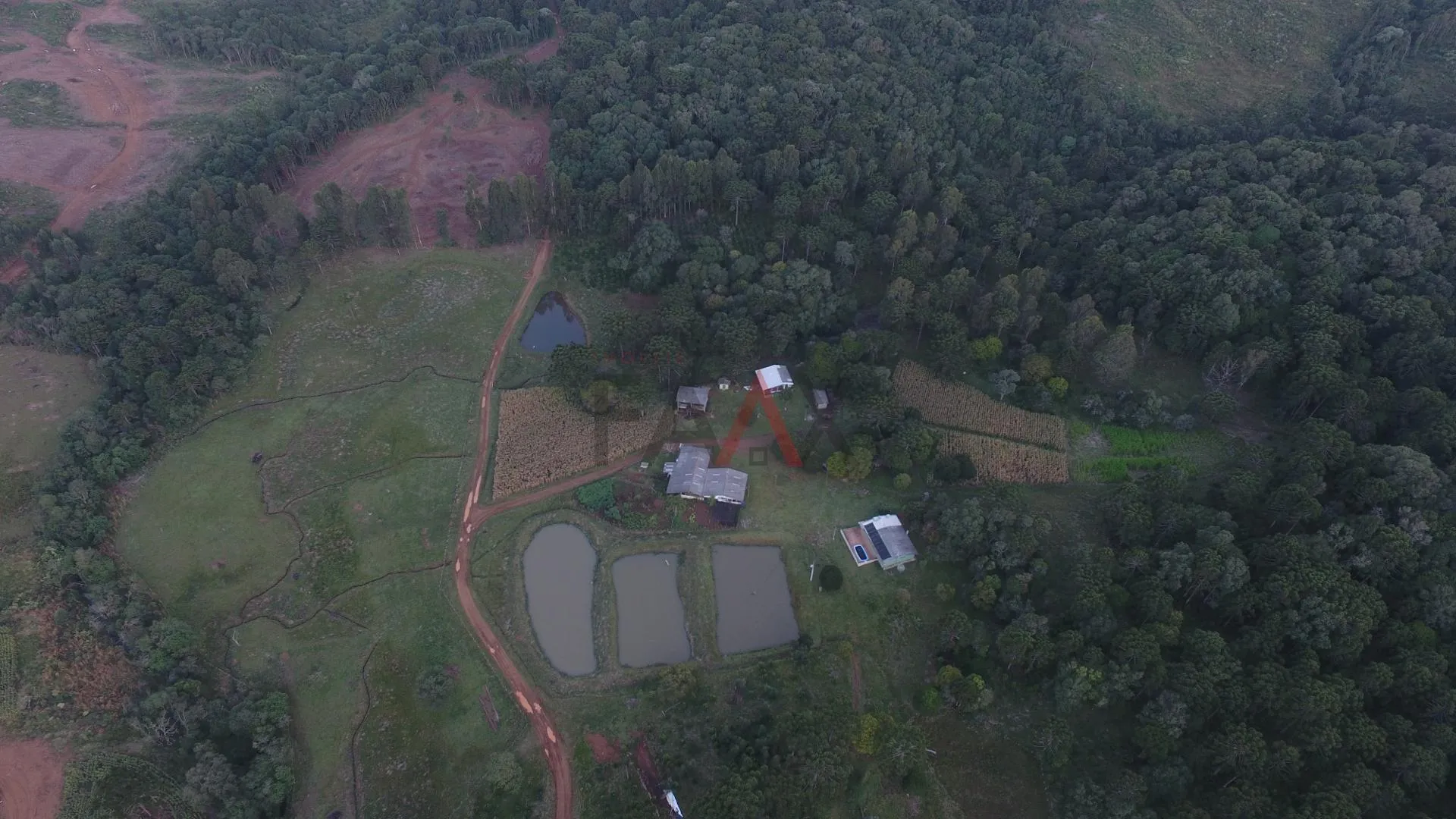 Foto do imóvel Chácara à venda com excelente localização, próximo da cidade, GUARAPUAVA - PR