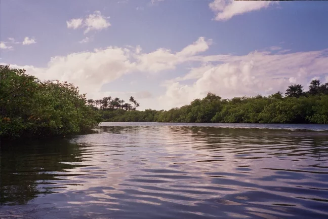 Imagem Ilha São Jerônimo