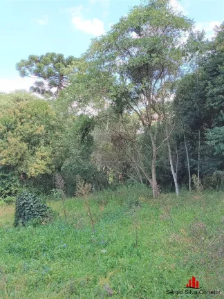 Imagem Terreno a Venda Com 1.290,00 m², no Jardim Embaixador em Campos do Jordão.