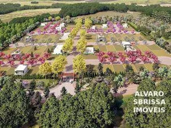 Imagem Excelente terreno plano com 250m2 à venda no Residencial Paulo Japur na Morada do Ipês próximo à Av Caetano Ruggieri em Itu SP