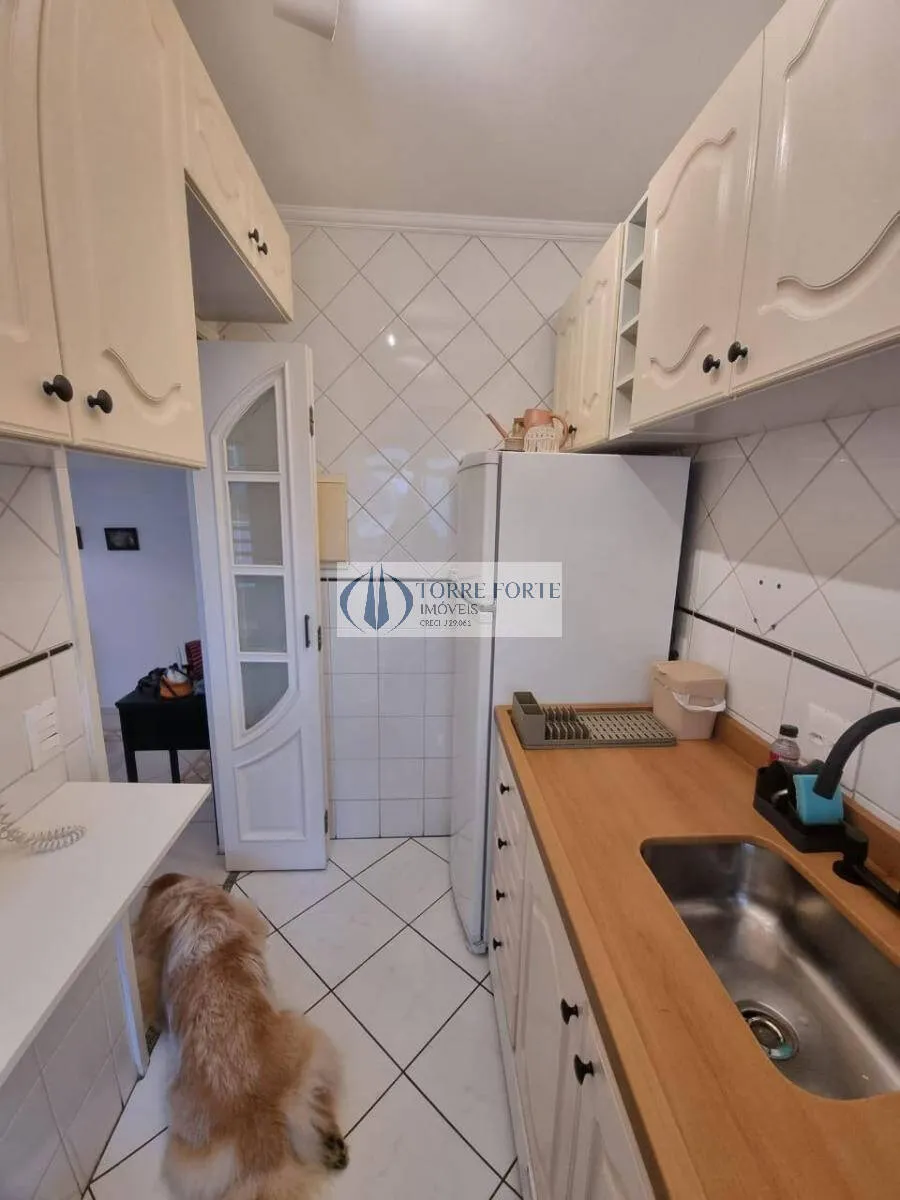 Imagem Lindo apartamento 49 m², 2 dormitórios, 1 vaga de garagem, Vl. Monte Alegre