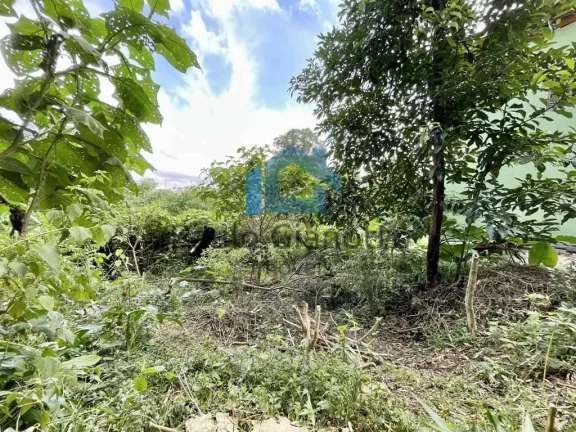 Imagem Lote em Bolsão Fechado no Centro da Granja Viana!