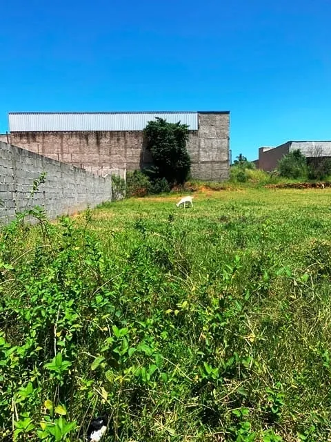 Imagem Terreno à venda 1.146,15 m², Cidade Nova, Pindamonhangaba - SP