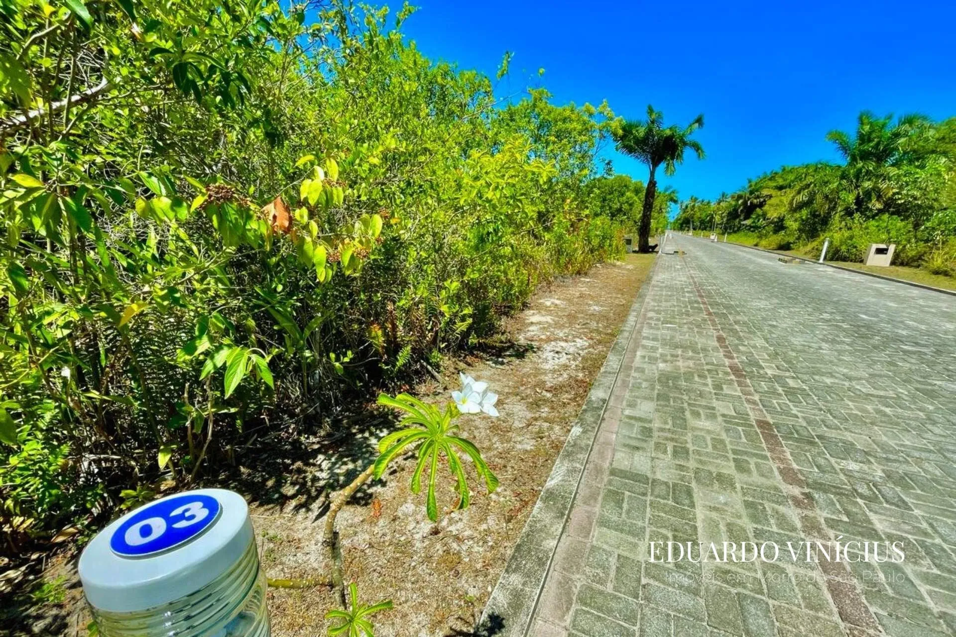 Imagem Dolce Vita Praia - Lote com 1.000m² em Condomínio de LUXO À Venda na Quarta Praia do Morro de São Paulo