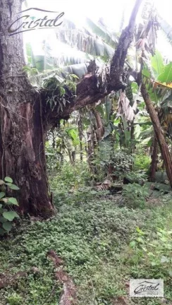 Imagem Terreno Residencial à venda, Chácara Canta Galo, Cotia - .