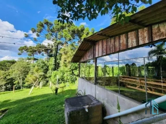 Imagem (PERMUTA) Chácara a venda documentada com 51.000 mil metros e pronta para morar em São José dos Pinhais PR
