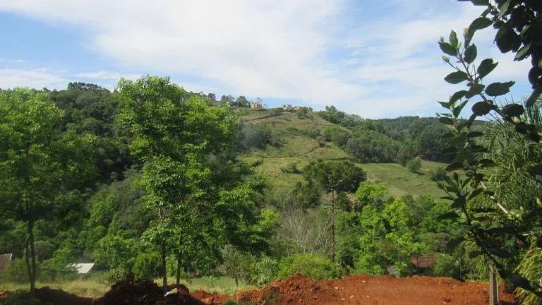 Imagem Casa para Venda em Concórdia, Colibri, 3 dormitórios, 2 banheiros, 2 vagas