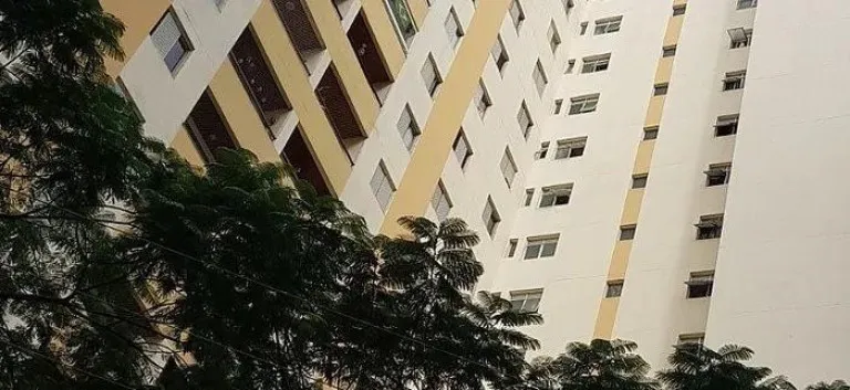 Foto do imóvel Apartamento com 3 Quartos para Alugar, 68 m² em Vila Nova Cachoeirinha - São Paulo