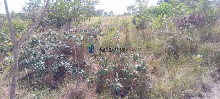 Imagem Fazenda à Venda, 20000 metros em Área Rural de São Sebastião - Brasília