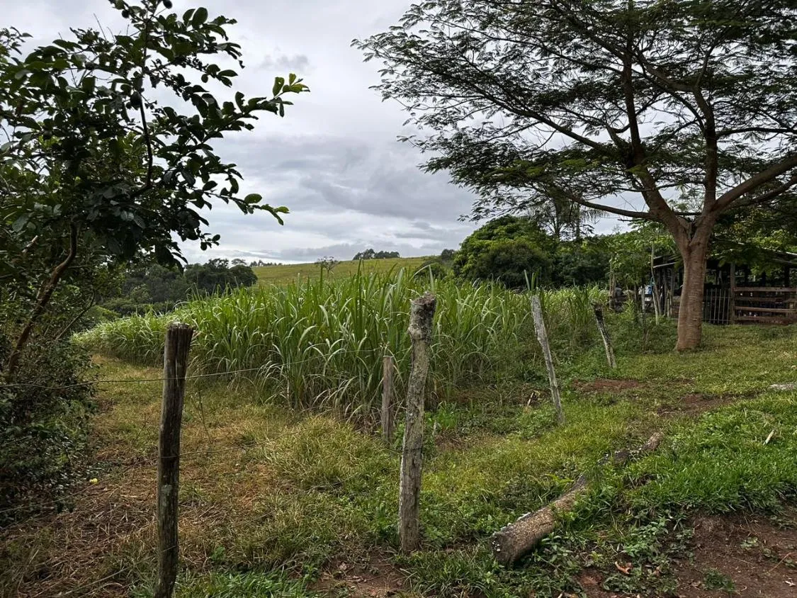 Imagem Vendo um ótimo terreno com 13 hectares de área total , em Crucilândia / MG