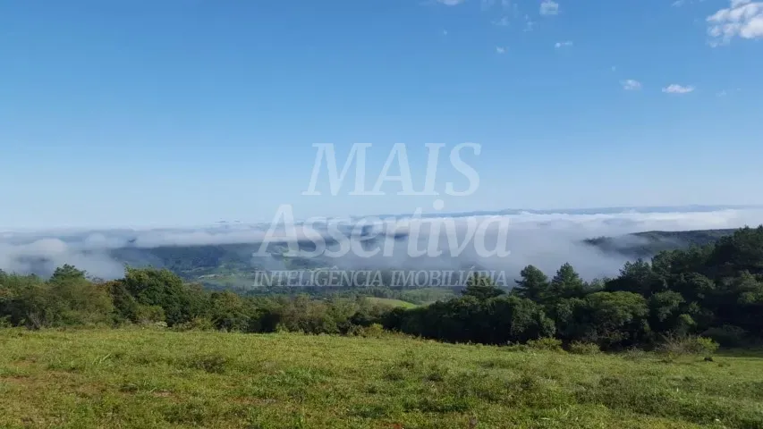 Excelente sítio para venda localizado em Gravataí/RS