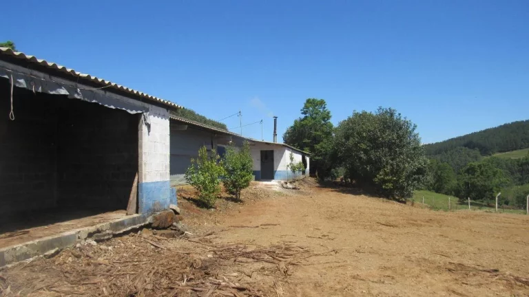 Imagem Área Agrícola para Venda em Arabuta, Rural