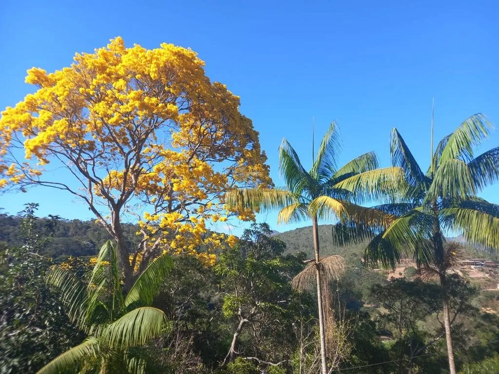 Imagem Sítio para Venda em Petrópolis / RJ no bairro Posse