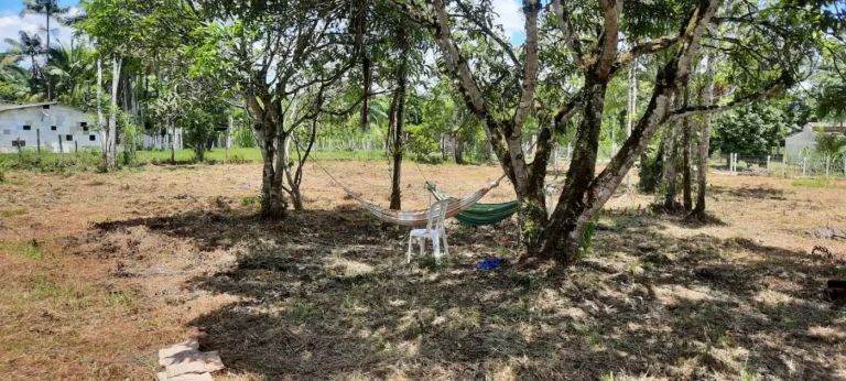 Imagem Chácara para Venda em Itanhaém, Gaivota (Interior), 2 dormitórios, 1 banheiro, 15 vagas