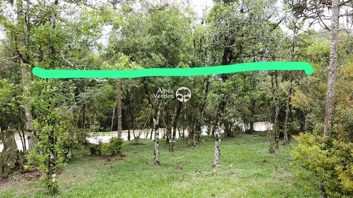 Imagem Terreno à Venda em São Francisco de Paula, São Francisco de Paula - RS