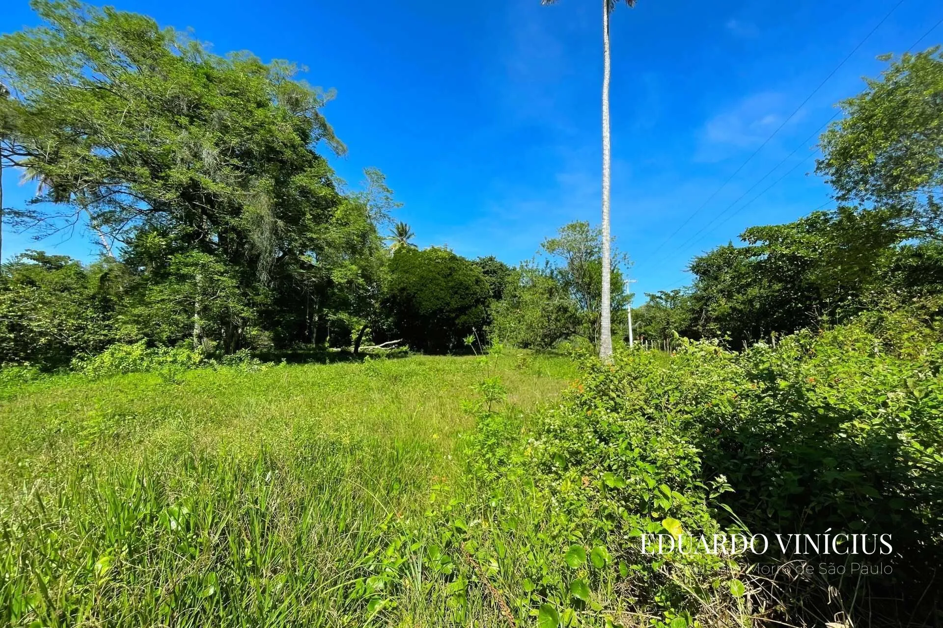 Imagem Terreno 4.020 m² à Venda na Praia do Encanto em Morro de São Paulo