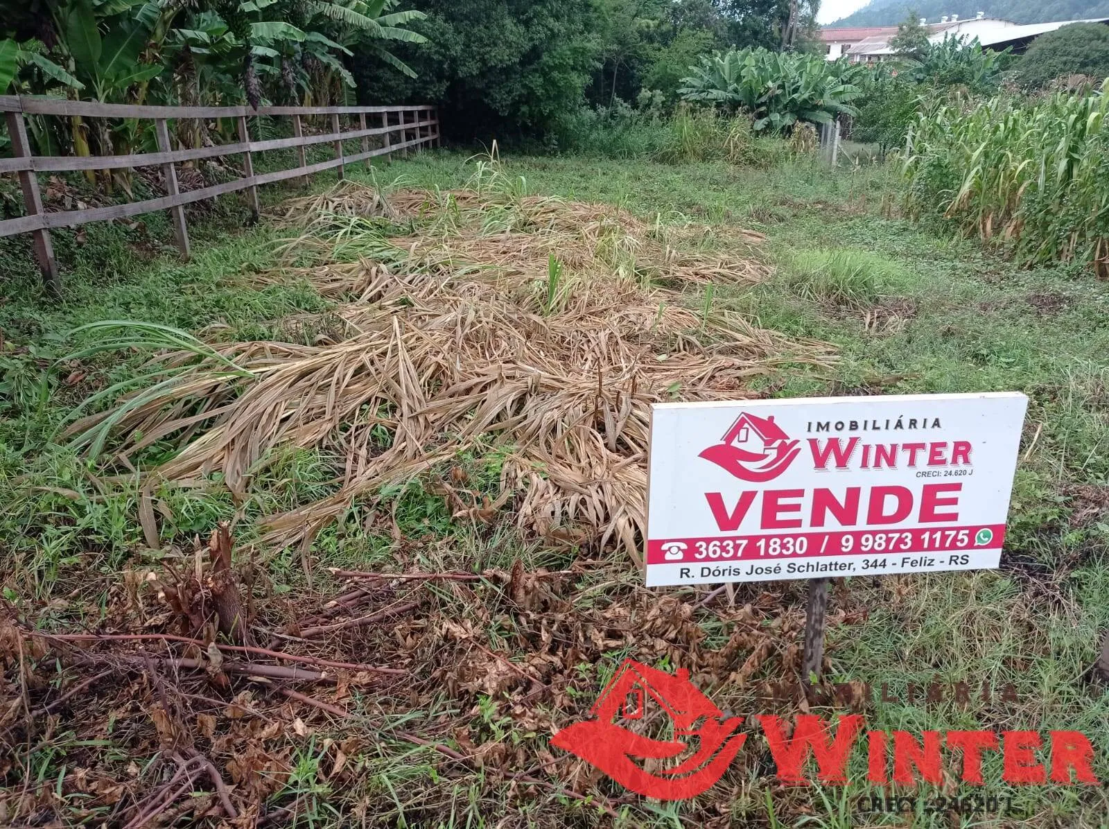 Foto do imóvel Terreno de 360m² no Centro de Tupandi.