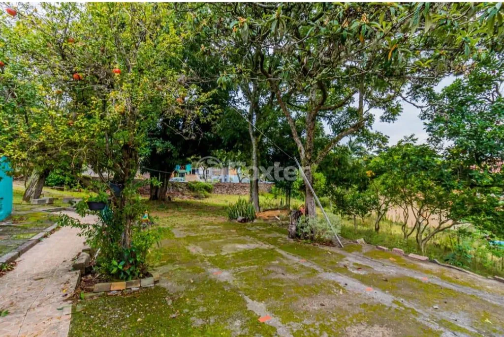 Imagem Terreno em Nonoai