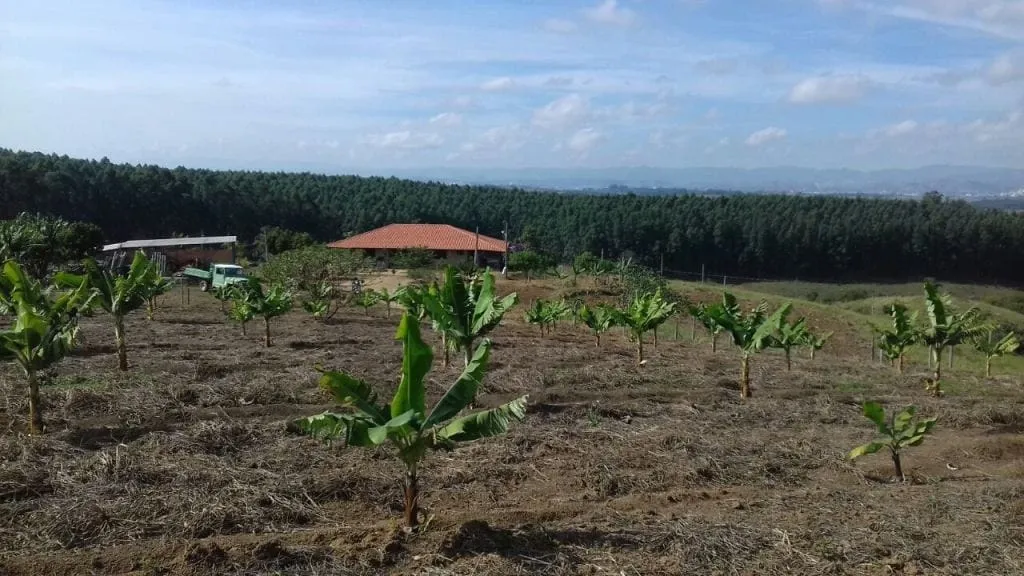 Imagem Chácara à venda 3 Quartos, 1 Suite, 1 Vaga, 96000M², Rio a cima, Guaratinguetá - SP