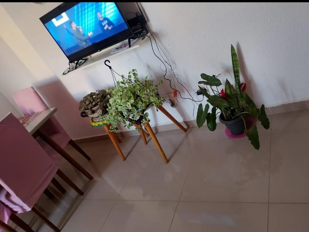 Imagem Apartamento ipê amarelo