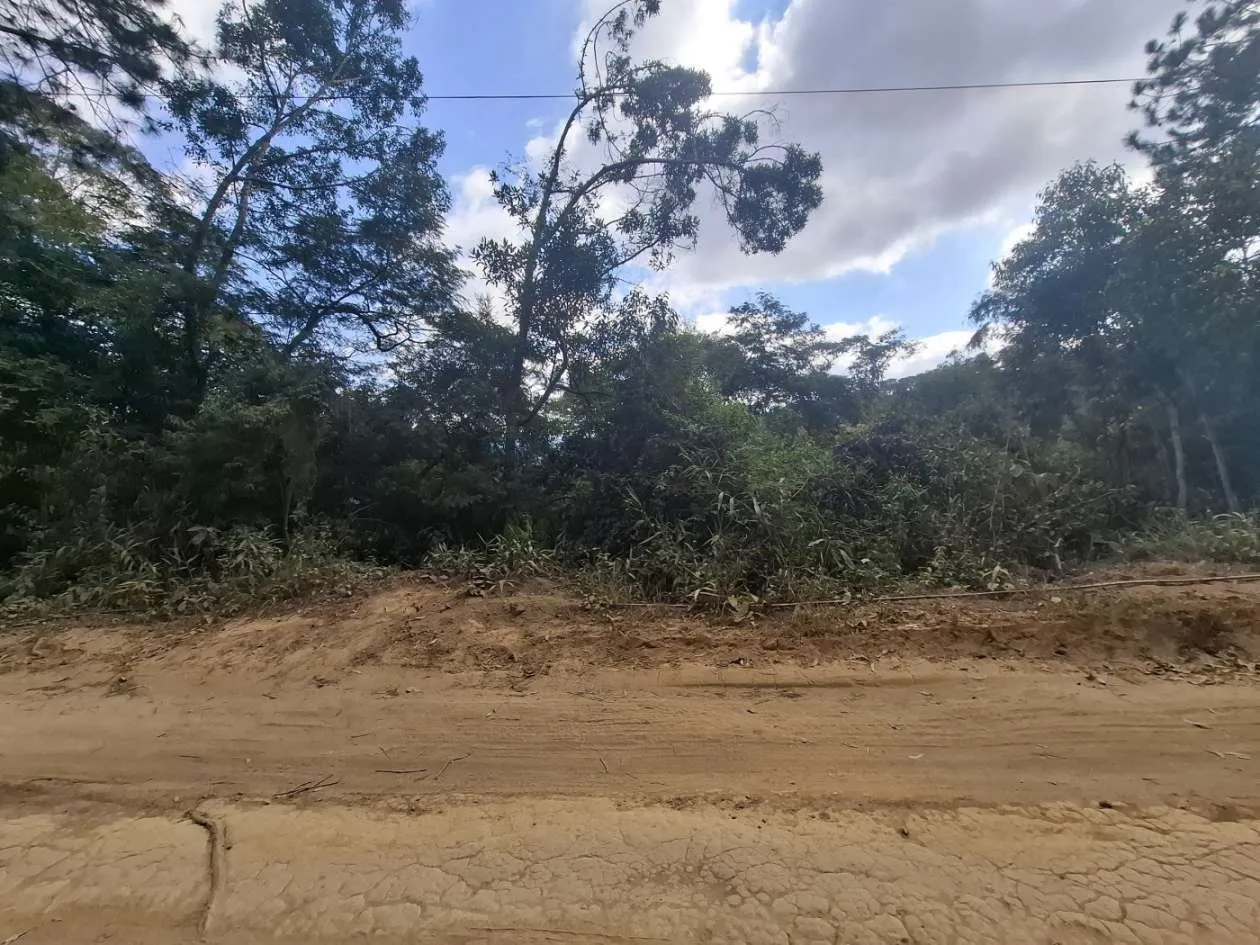 Imagem Terreno para Venda em Teresópolis / RJ no bairro Fazenda Suiça
