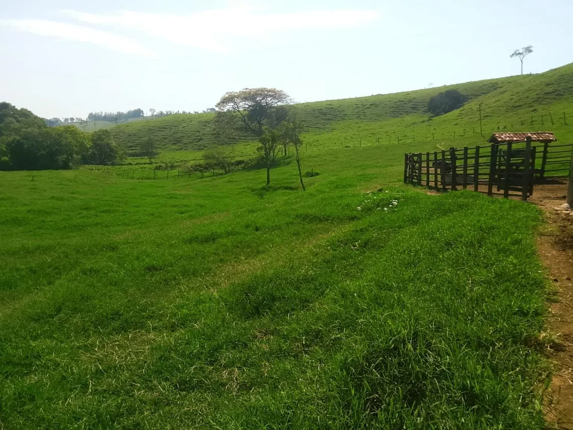 Imagem TERRENO À VENDA EM RIO MANSO/MG | 11,7 HECTARES