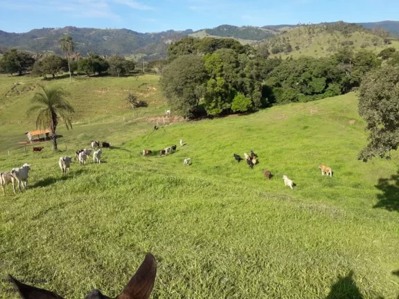 Imagem FAZENDA RURAL em SÃO JOÃO DA BOA VISTA - SP, CENTRO