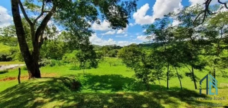Imagem Fazenda em Abadiânia, muita água (permuta total se for em Goiânia) GOIANIA - GO