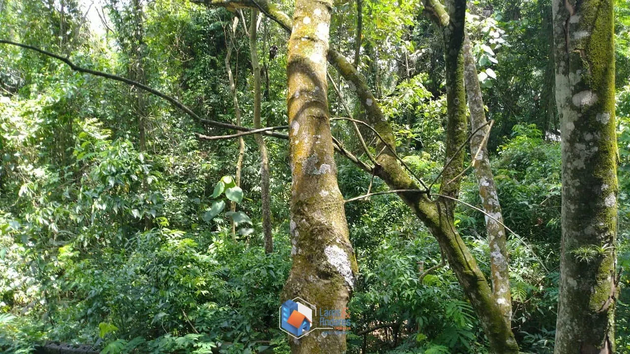 Imagem Terreno à venda, 550m², 525m² e 487,50m² - 3 lotes de 1562m² no total - Vendidos juntos, lote cercado com acesso rua terra. Mantiqueira, Mairiporã.