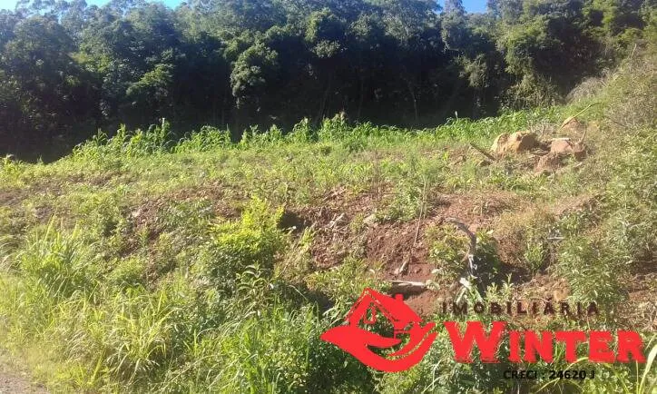 Imagem Aréa em área rural, Feliz.