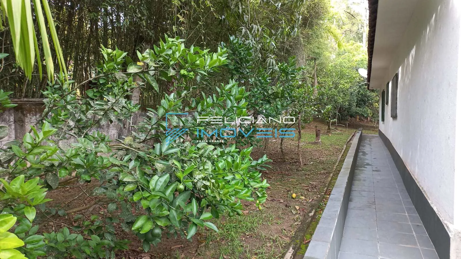 Imagem Chácara com 3 quartos, sitio, Pedro de Toledo - R$ 430 mil, Cod: 5655