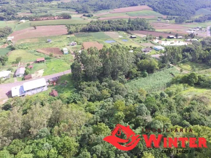 Imagem Área de terra com 7.884,70m² no São Roque/ Feliz.