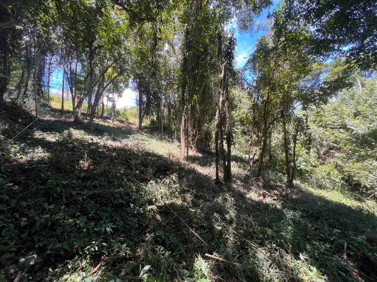 Imagem Terreno à 600mts da Repressa de Itupararanga no Loteamento Saveiros de Ibiúna