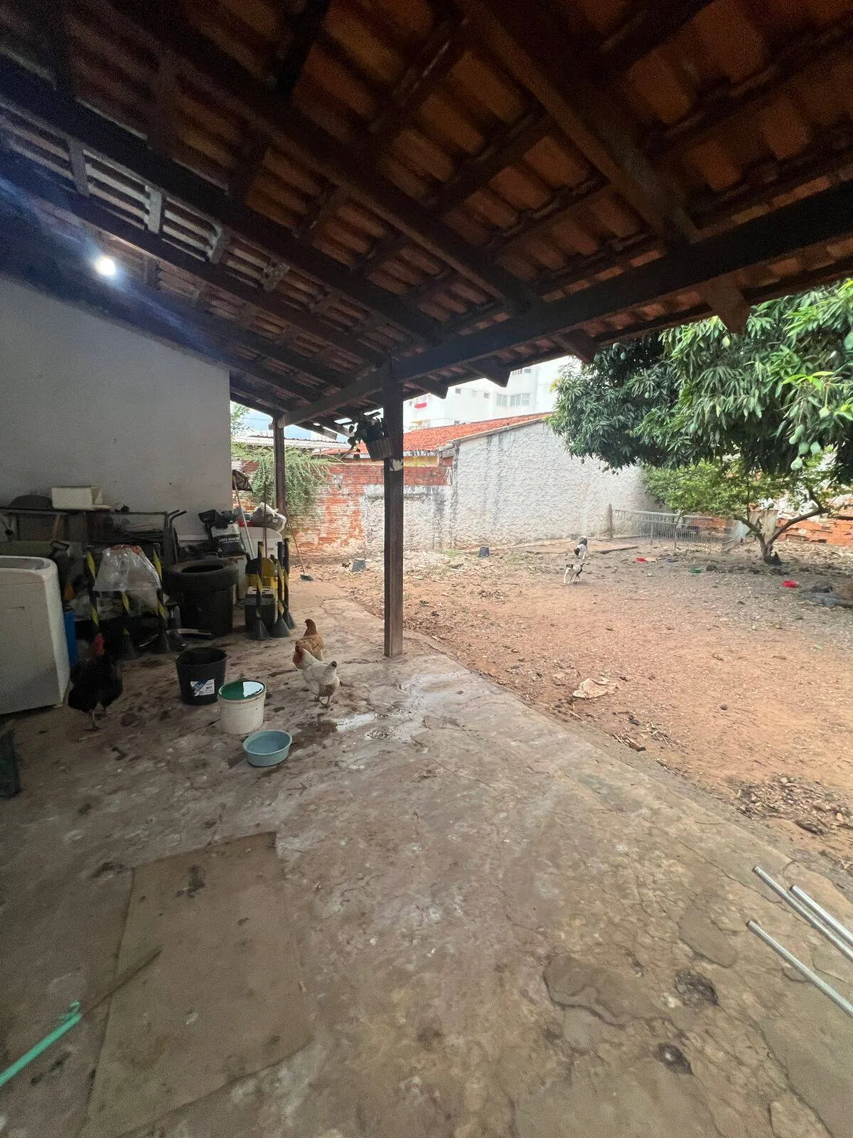 Imagem Casa Goiabeiras - 3 Quartos, Suíte e Amplo Quintal