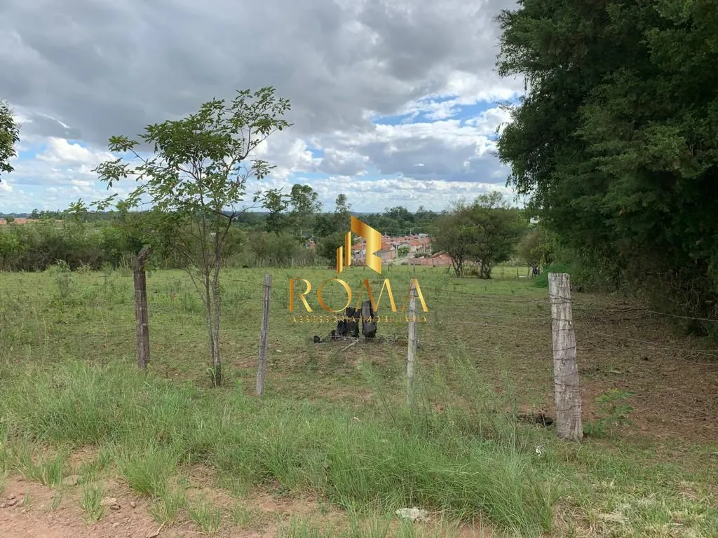 Imagem Campo à venda Tomazetti Santa Maria/RS