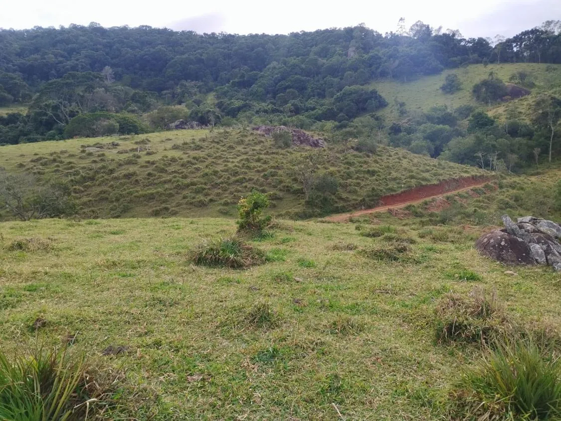 Imagem Terreno com 20.000 m² ? A Apenas 3 km de Piracaia!