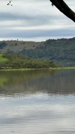 Imagem Sítio para Venda em Concórdia, Interior, 4 dormitórios, 1 banheiro, 2 vagas