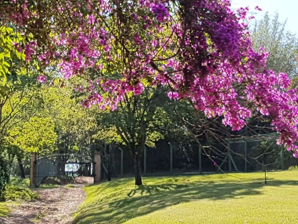 Imagem Chácara à venda 233472.24M², Zona Rural, Santa Cruz da Conceição - SP
