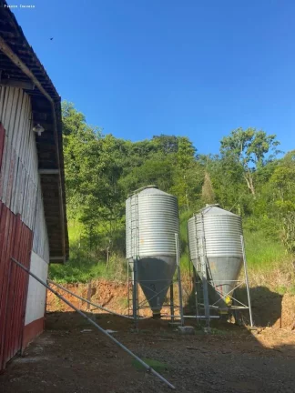 Imagem Área para Venda em Cordilheira Alta, Interior, 3 dormitórios, 1 banheiro, 2 vagas