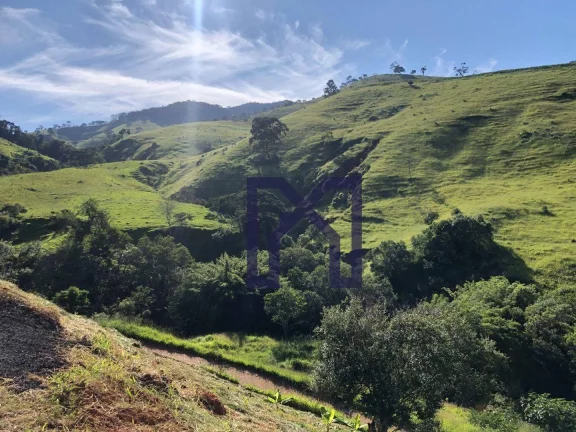 Imagem Sítio à venda, 19 Hectares por R$ 600.000 - Wenceslau Braz - Wenceslau Braz/MG